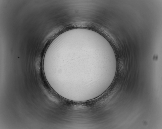 X0000101190586200807251005