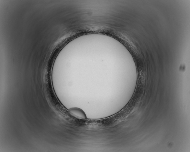 X0000101190587200807251005