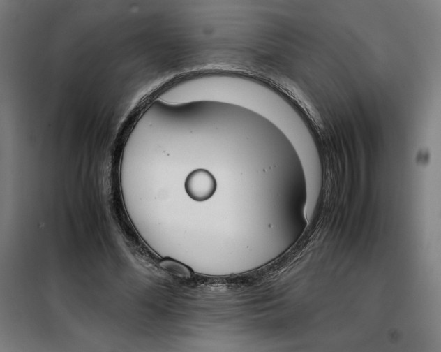 X0000101190588200807251005