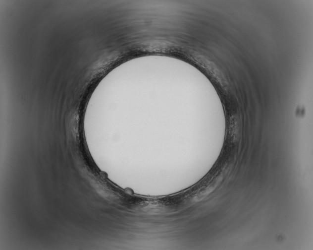 X0000101190589200807251005