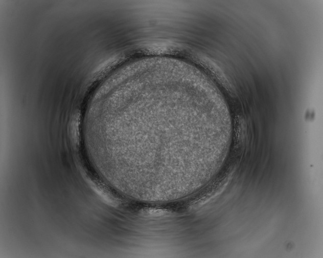 X0000101190590200807251005