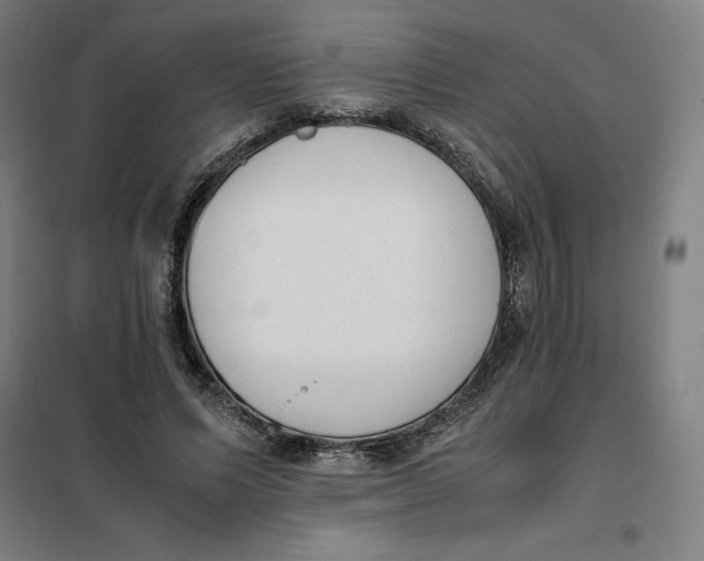 X0000101190591200807251005