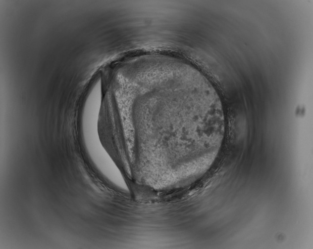 X0000101190592200807251005