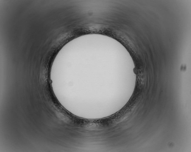 X0000101190593200807251005