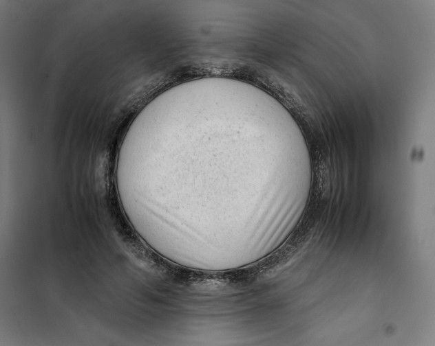 X0000101190594200807251005
