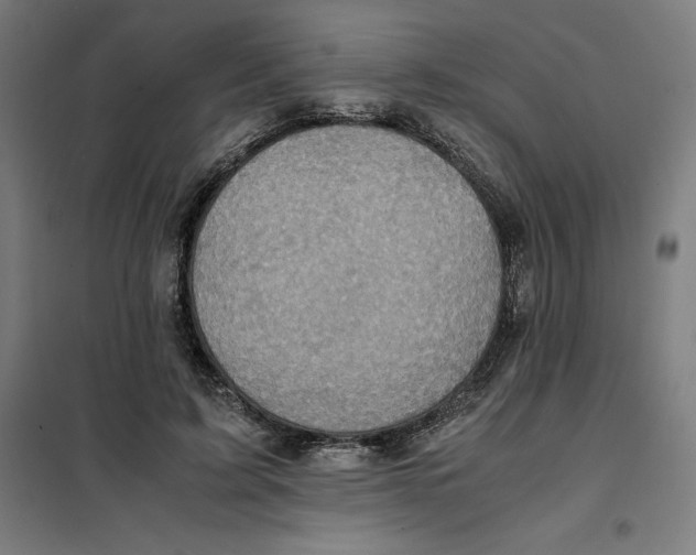 X0000101190595200807251005