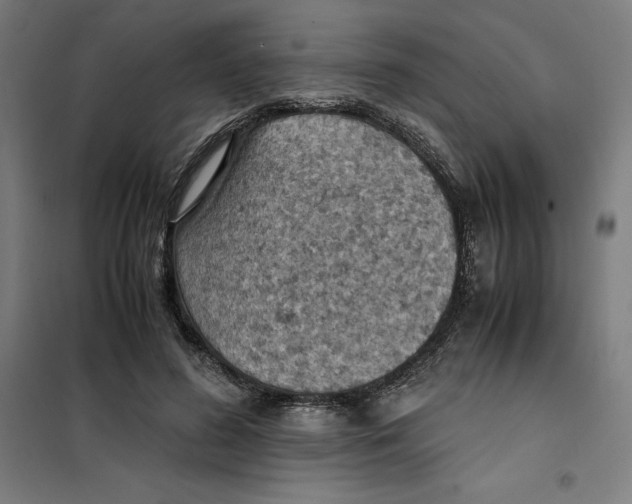 X0000101190596200807251004