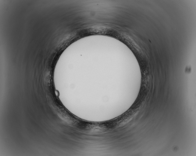 X0000101190597200807251004