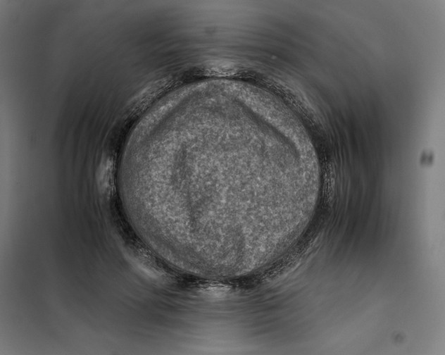 X0000101190598200807251004