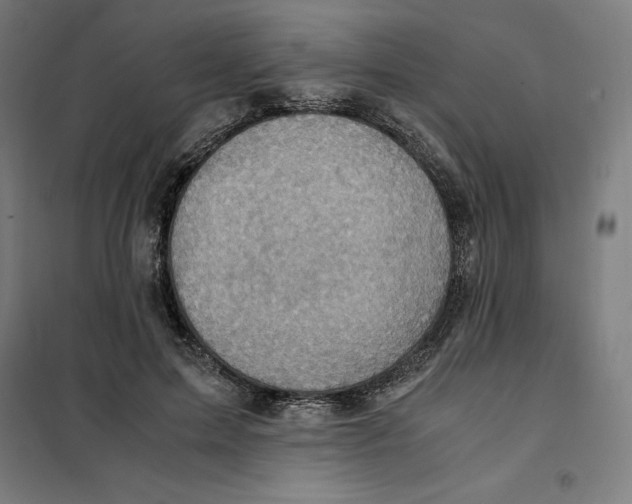 X0000101190599200807251004