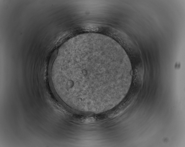 X0000101190600200807251004