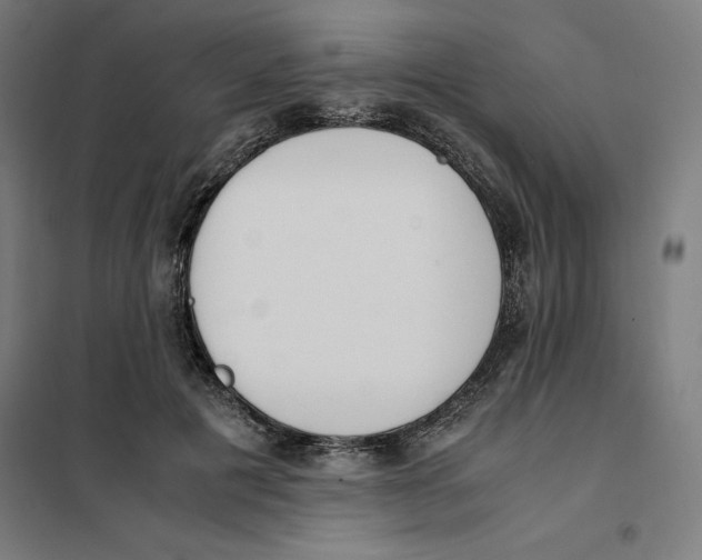X0000101190601200807251004