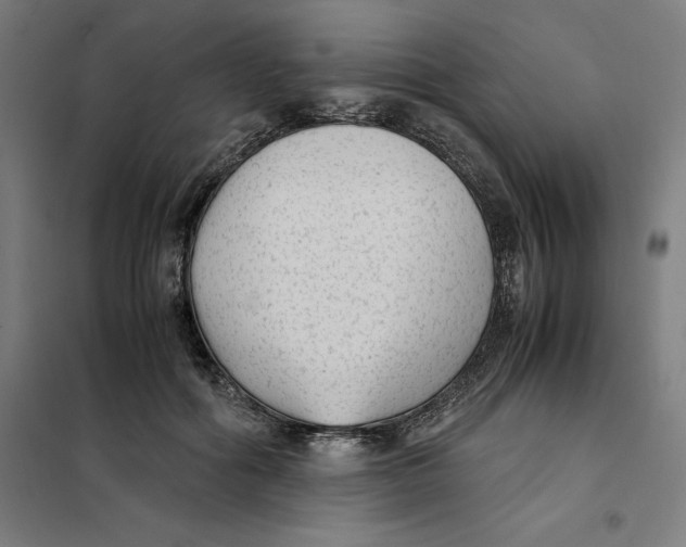 X0000101190602200807251004