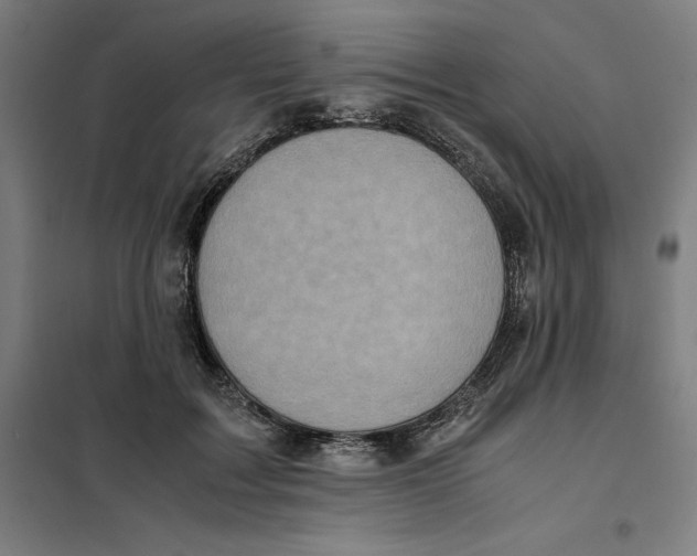 X0000101190603200807251004