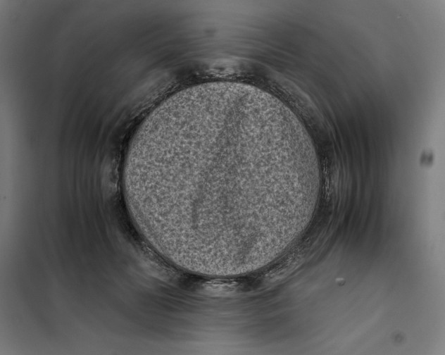 X0000101190606200807251004