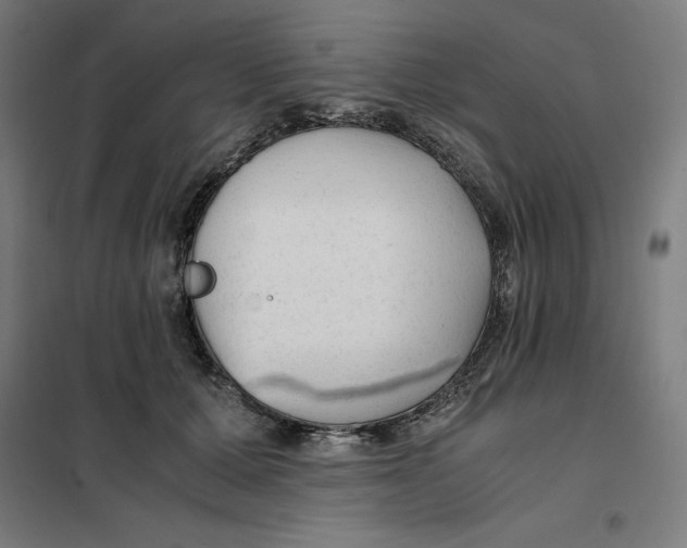 X0000101190607200807251004