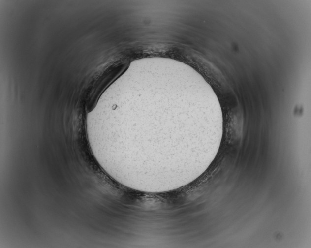 X0000101190608200807251004