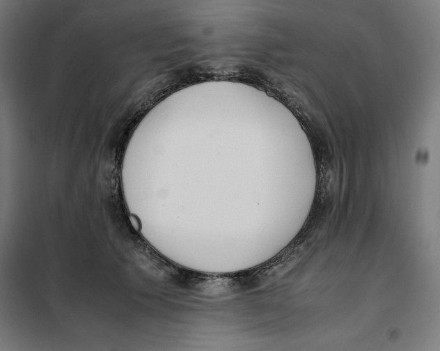 X0000101190609200807251004