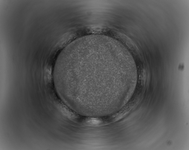 X0000101190610200807251004