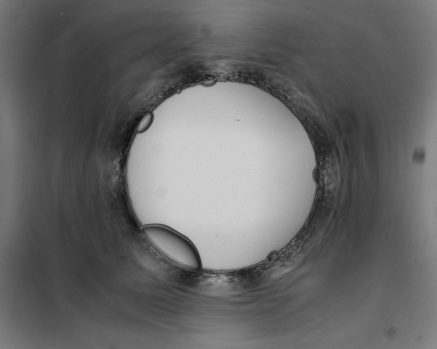 X0000101190611200807251004