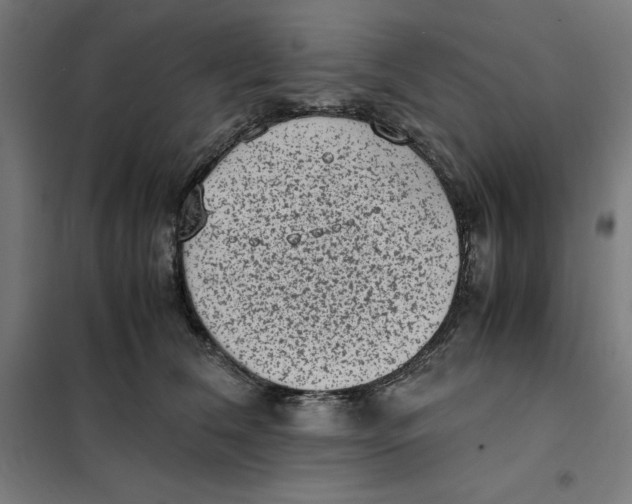 X0000101190612200807251004