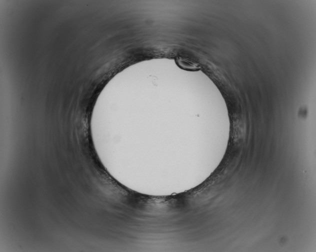 X0000101190613200807251004