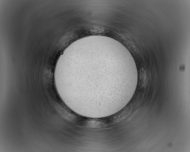 X0000101190614200807251004