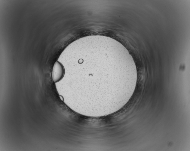 X0000101190615200807251004