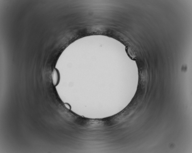 X0000101190617200807251004