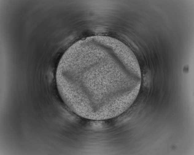 X0000101190618200807251004