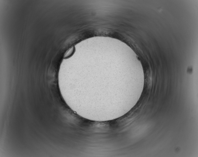 X0000101190619200807251004