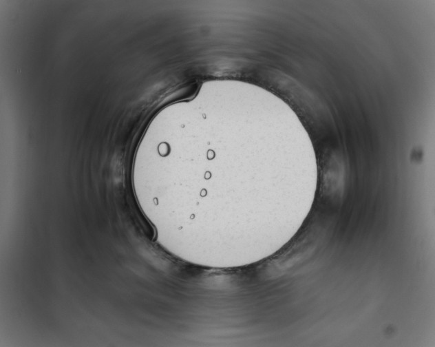 X0000101190620200807251004