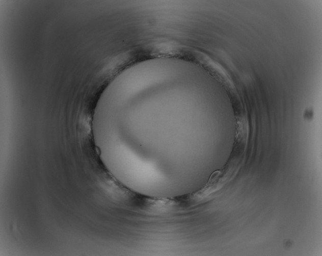 X0000101190621200807251004