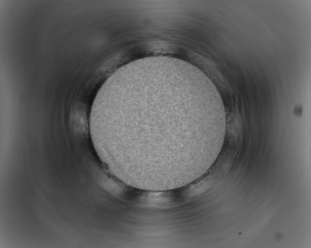 X0000101190622200807251004