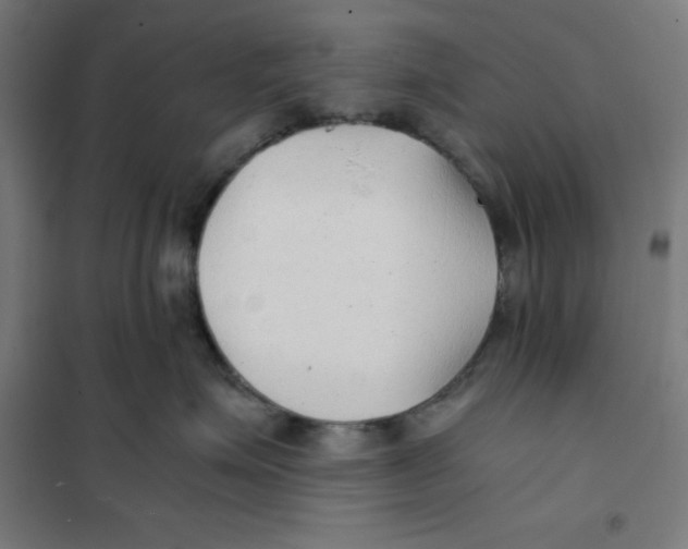 X0000101190623200807251004