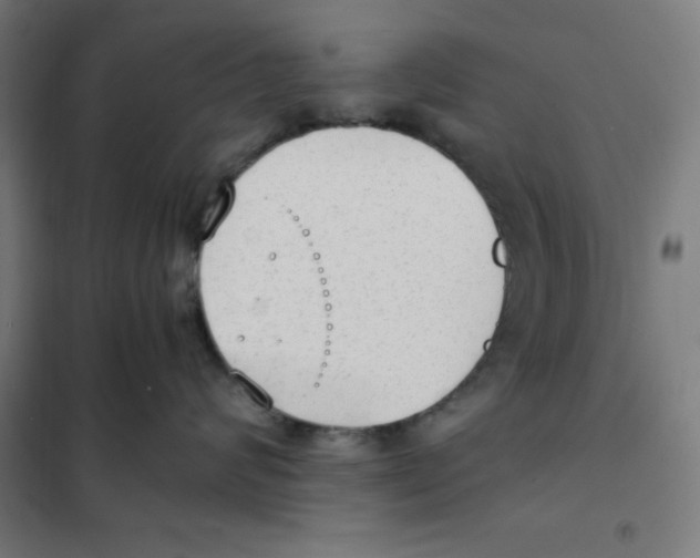 X0000101190624200807251004