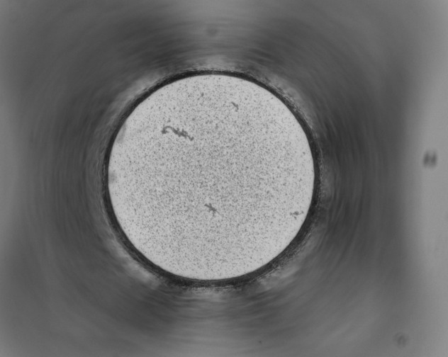 X0000101190625200807251003