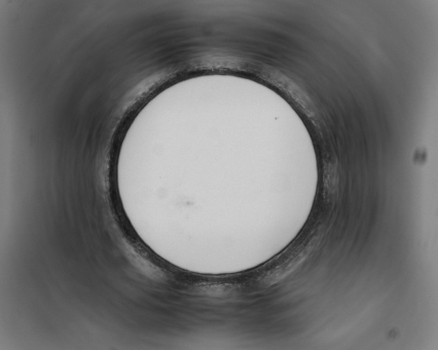 X0000101190629200807251004