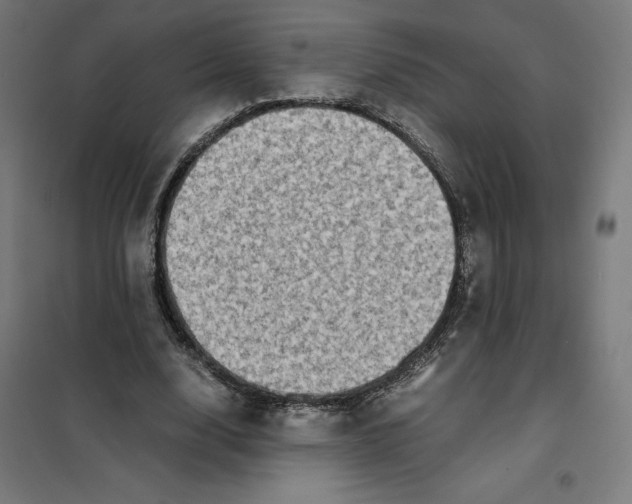 X0000101190632200807251004