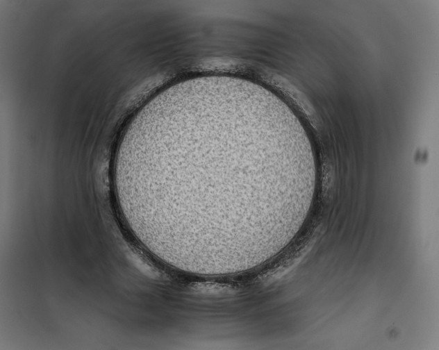 X0000101190633200807251004