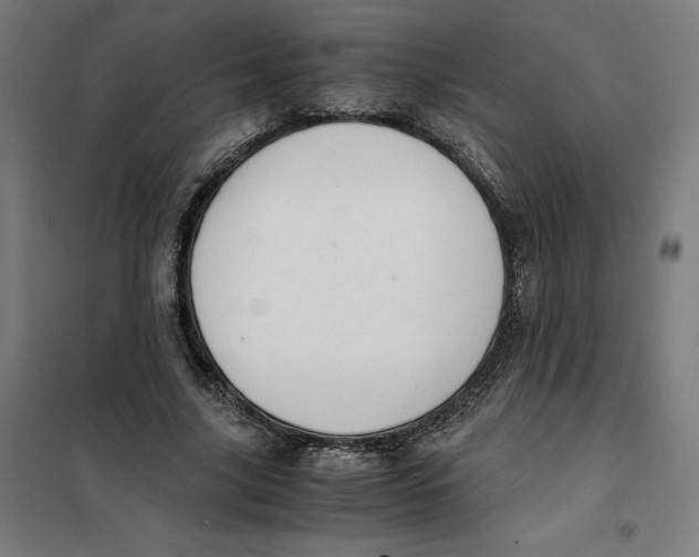 X0000101190635200807251004