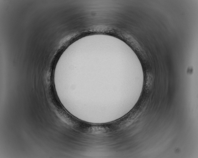 X0000101190636200807251004