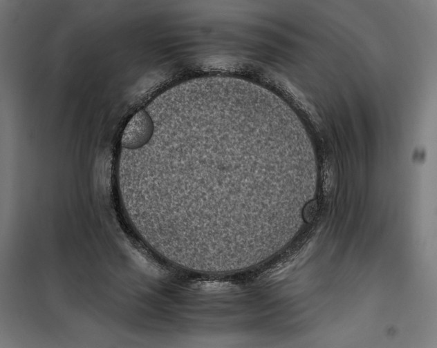 X0000101190637200807251004