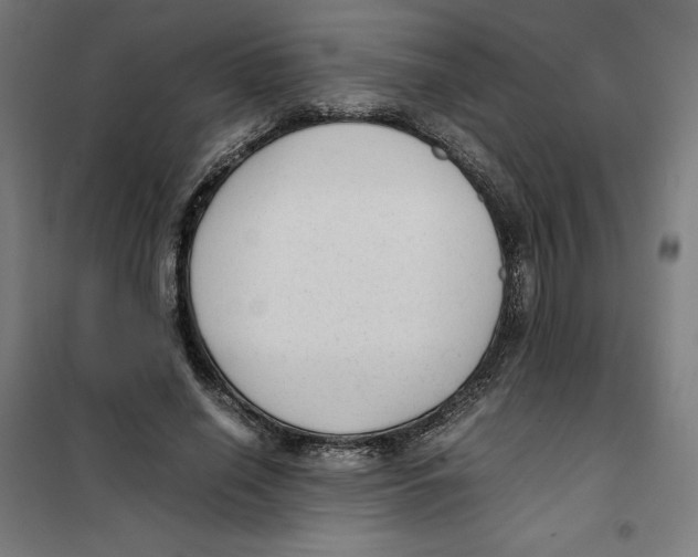 X0000101190638200807251004