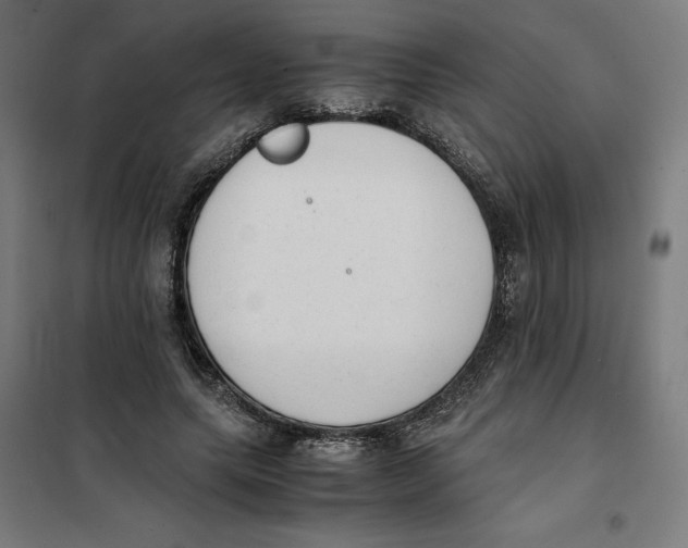 X0000101190639200807251004