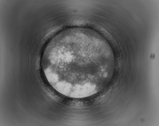 X0000101190640200807251004