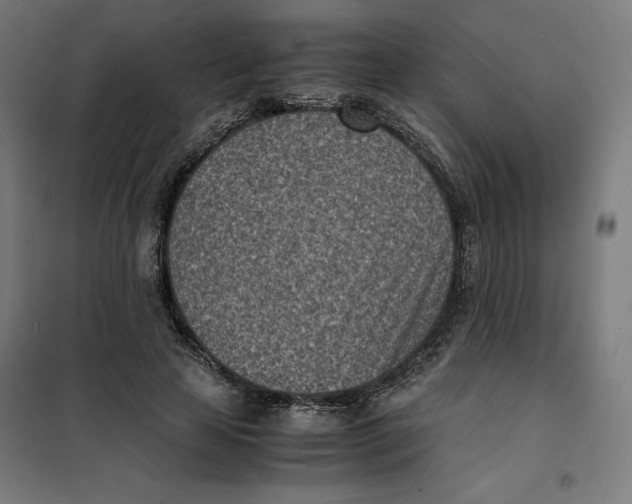 X0000101190641200807251004