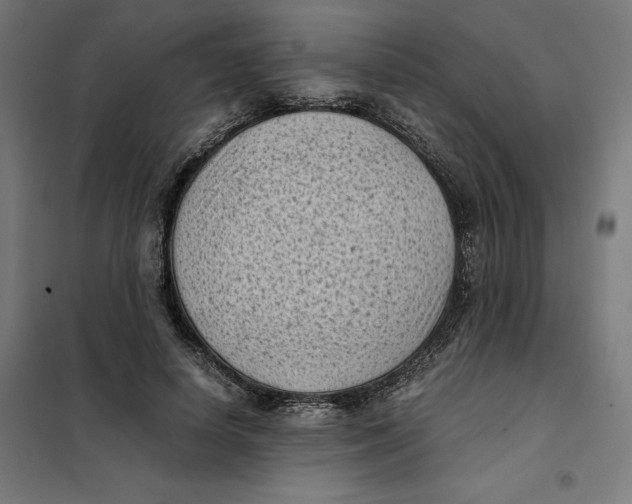 X0000101190642200807251004