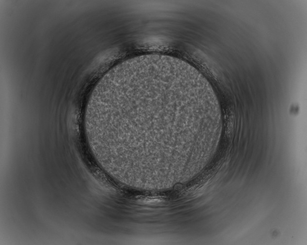 X0000101190643200807251004