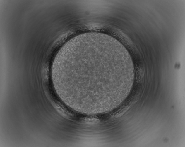 X0000101190644200807251004